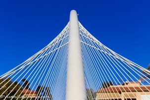 Pasarela Calatrava 3